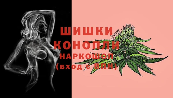 хмурый Карпинск
