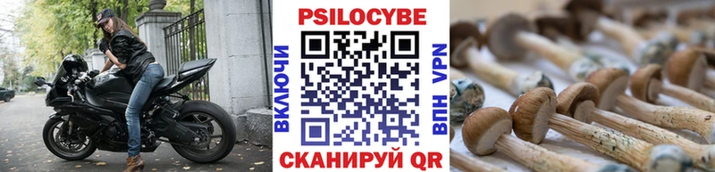 Купить  Радужный  Галлюциногенные грибы Cubensis 